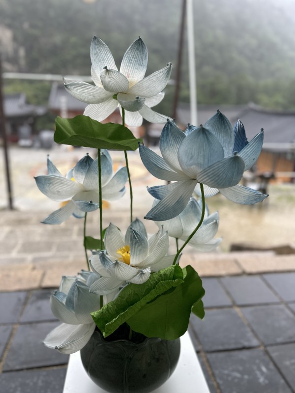 0d407ee02d54ba7494a6213fea6897c3_1755935976_2418.jpeg